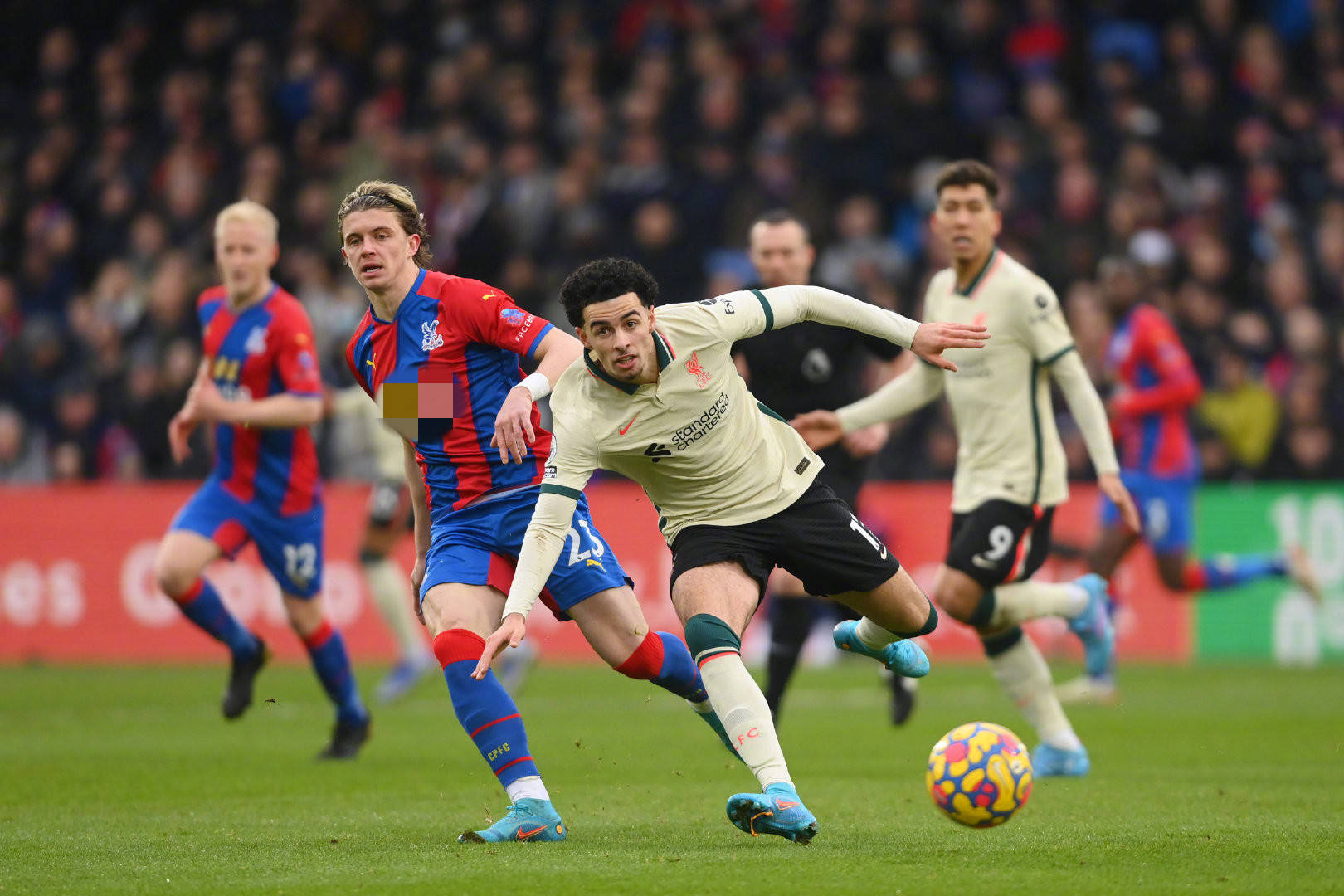 仅让自己看 仅让自己看